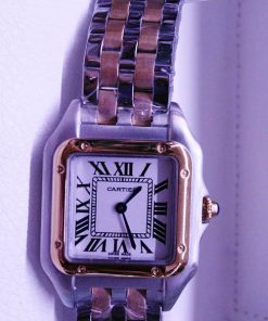 Cartier Panthere 03 M W2PN0007 (37mm) acero y oro